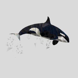 Polygon Orca